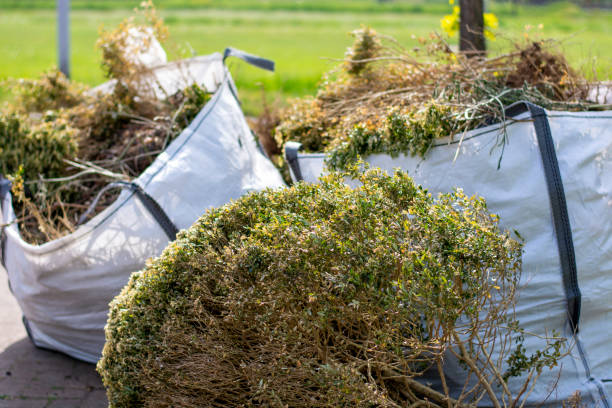 Shed Removal in Edisto, SC